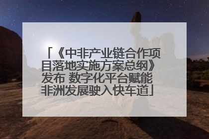 《中非产业链合作项目落地实施方案总纲》发布 数字化平台赋能非洲发展驶入快车道