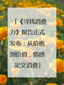 《寻找消费力》报告正式发布：从价格到价值，情感定义消费