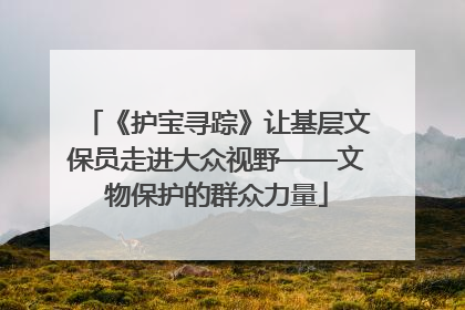 《护宝寻踪》让基层文保员走进大众视野——文物保护的群众力量