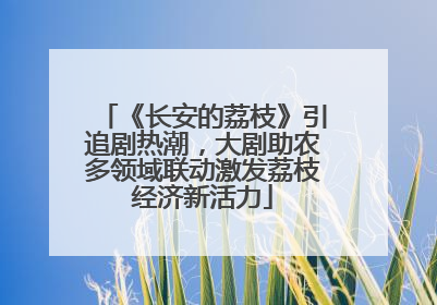 《长安的荔枝》引追剧热潮，大剧助农多领域联动激发荔枝经济新活力