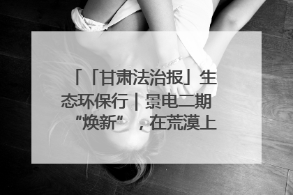 「甘肃法治报」生态环保行｜景电二期“焕新”，在荒漠上筑起一道绿色长城