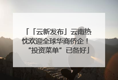 「云新发布」云南热忱欢迎全球华商侨企！“投资菜单”已备好