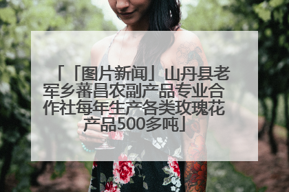 「图片新闻」山丹县老军乡蕃昌农副产品专业合作社每年生产各类玫瑰花产品500多吨