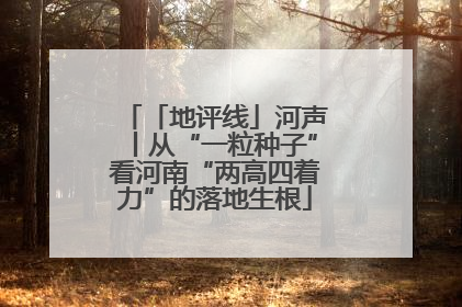 「地评线」河声丨从“一粒种子”看河南“两高四着力”的落地生根
