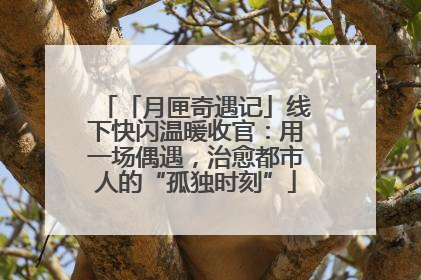 「月匣奇遇记」线下快闪温暖收官：用一场偶遇，治愈都市人的“孤独时刻”
