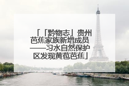 「黔物志」贵州芭蕉家族新增成员——习水自然保护区发现黄苞芭蕉