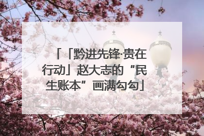 「黔进先锋·贵在行动」赵大志的“民生账本”画满勾勾