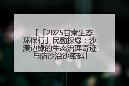 「2025甘肃生态环保行」民勤探绿：沙漠边缘的生态治理奇迹与防沙治沙密码