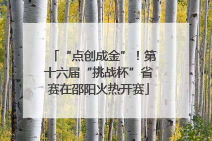 “点创成金”！第十六届“挑战杯”省赛在邵阳火热开赛