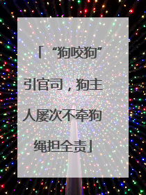 “狗咬狗”引官司，狗主人屡次不牵狗绳担全责