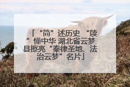 “简”述历史 “牍”懂中华 湖北省云梦县擦亮“秦律圣地、法治云梦”名片
