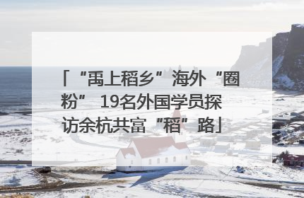 “禹上稻乡”海外“圈粉” 19名外国学员探访余杭共富“稻”路
