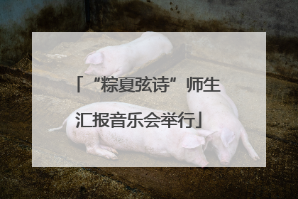 “粽夏弦诗”师生汇报音乐会举行