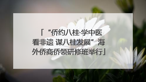 “侨约八桂·学中医 看非遗 谋八桂发展”海外侨商侨领研修班举行