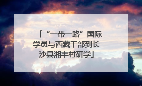 “一带一路”国际学员与西藏干部到长沙县湘丰村研学