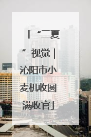 “三夏”视觉｜沁阳市小麦机收圆满收官