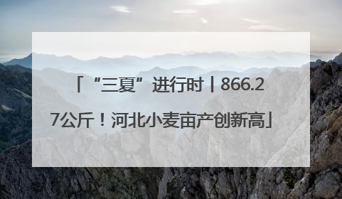 “三夏”进行时丨866.27公斤！河北小麦亩产创新高