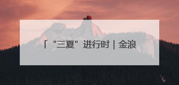 “三夏”进行时｜金浪翻涌“智”收忙——我市小麦开镰收割见闻