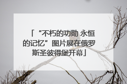 “不朽的功勋 永恒的记忆”图片展在俄罗斯圣彼得堡开幕