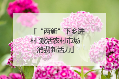 “两新”下乡进村 激活农村市场消费新活力