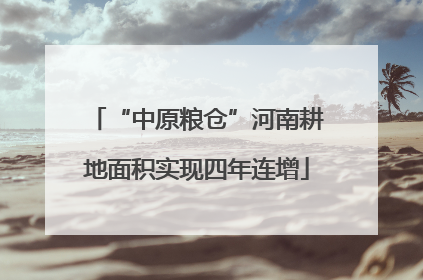 “中原粮仓”河南耕地面积实现四年连增