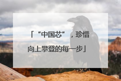 “中国芯”，珍惜向上攀登的每一步