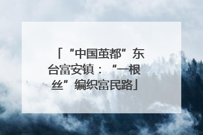 “中国茧都”东台富安镇：“一根丝”编织富民路