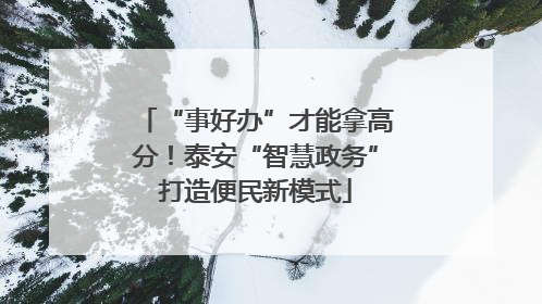“事好办”才能拿高分！泰安“智慧政务”打造便民新模式