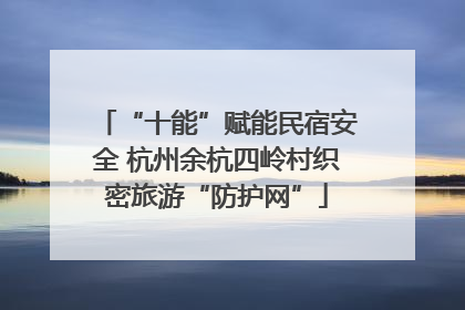 “十能”赋能民宿安全 杭州余杭四岭村织密旅游“防护网”
