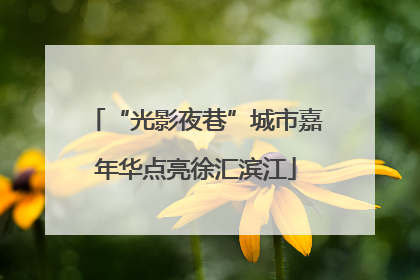“光影夜巷”城市嘉年华点亮徐汇滨江
