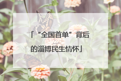 “全国首单”背后的淄博民生情怀