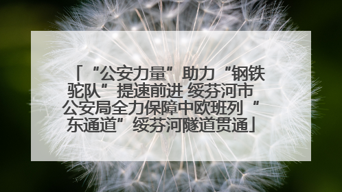 “公安力量”助力“钢铁驼队”提速前进 绥芬河市公安局全力保障中欧班列“东通道”绥芬河隧道贯通