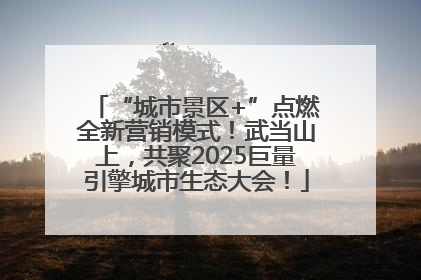“城市景区+”点燃全新营销模式！武当山上，共聚2025巨量引擎城市生态大会！
