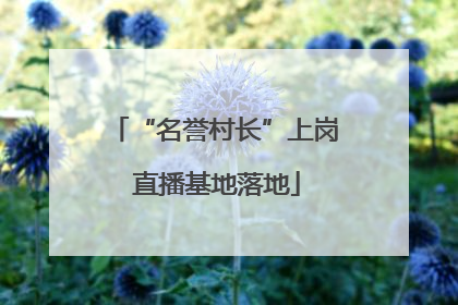“名誉村长”上岗 直播基地落地