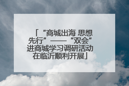 “商城出海 思想先行”——“双会”进商城学习调研活动在临沂顺利开展