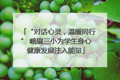 “对话心灵，温暖同行” 峨眉三小为学生身心健康发展注入能量