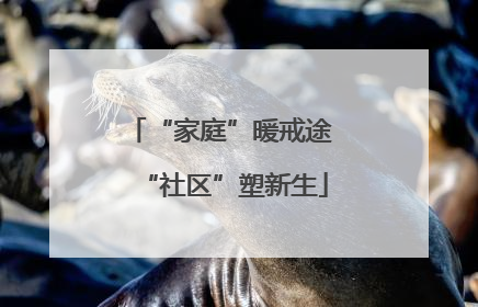 “家庭”暖戒途 “社区”塑新生