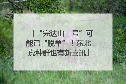 “完达山一号”可能已“脱单”！东北虎种群也有新喜讯