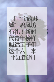 “宝藏苏城”碧凤坊有礼！新时代青年榜样喊话宝子们这个六一来平江街道
