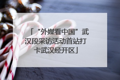 “外媒看中国”武汉段采访活动首站打卡武汉经开区