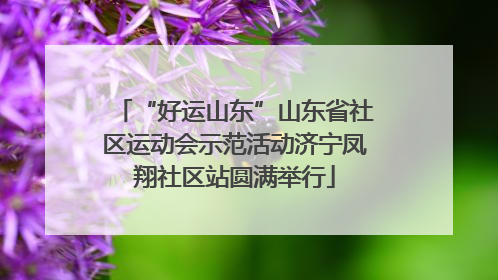 “好运山东”山东省社区运动会示范活动济宁凤翔社区站圆满举行