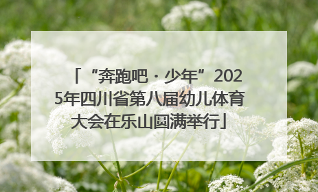 “奔跑吧・少年”2025年四川省第八届幼儿体育大会在乐山圆满举行