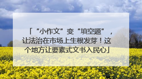“小作文”变“填空题”，让法治在市场上生根发芽！这个地方让要素式文书入民心