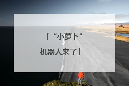 “小萝卜”机器人来了
