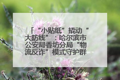 “小贴纸”撬动“大防线”：哈尔滨市公安局香坊分局“物流反诈”模式守护群众“钱袋子”