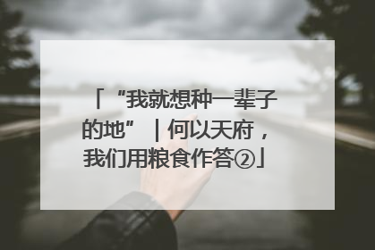 “我就想种一辈子的地”｜何以天府，我们用粮食作答②
