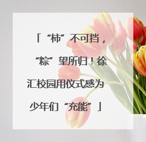 “柿”不可挡，“粽”望所归！徐汇校园用仪式感为少年们“充能”