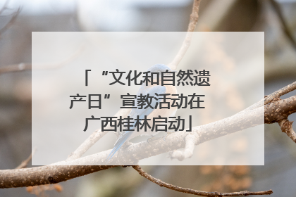 “文化和自然遗产日”宣教活动在广西桂林启动
