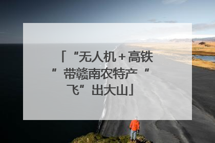 “无人机＋高铁”带赣南农特产“飞”出大山