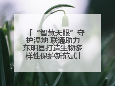 “智慧天眼”守护湿地 联通助力东明县打造生物多样性保护新范式